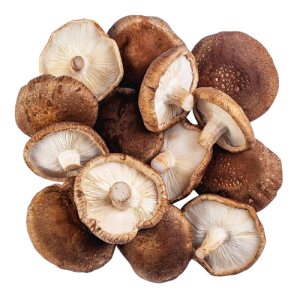 Shitake 2kg