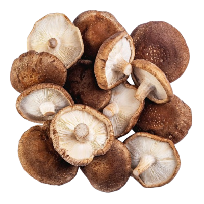 Cogumelos Shitake 2kg