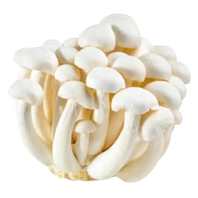 Cogumelos Shimeji 2kg